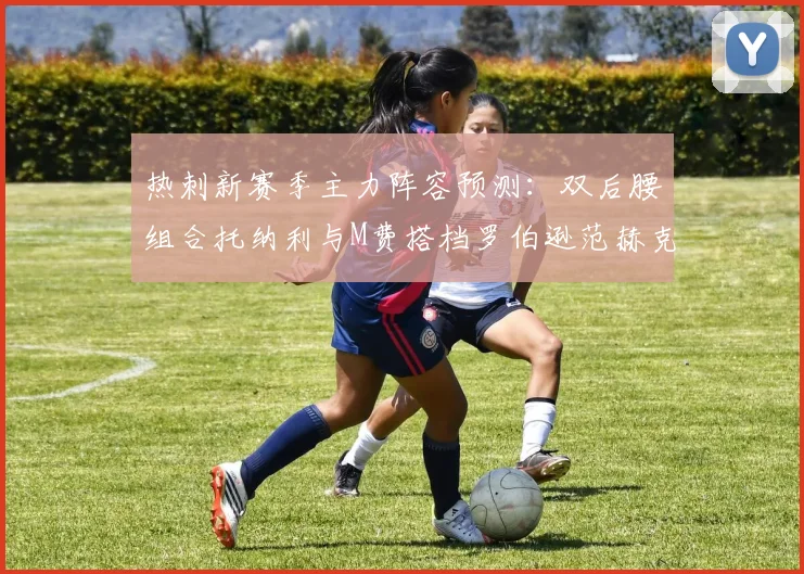 热刺新赛季主力阵容预测：双后腰组合托纳利与M费搭档罗伯逊范赫克加盟